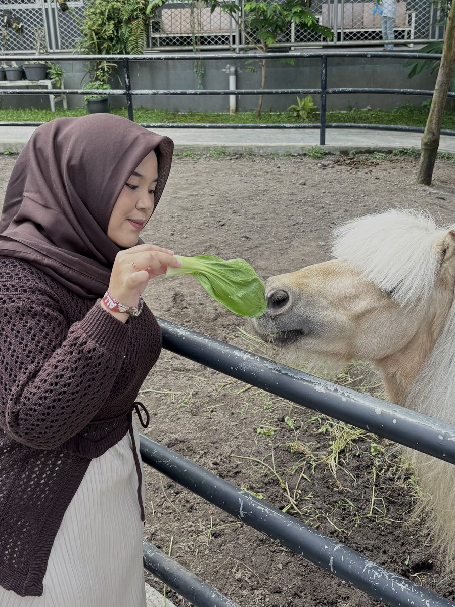 red velvet 🍰 tweet media