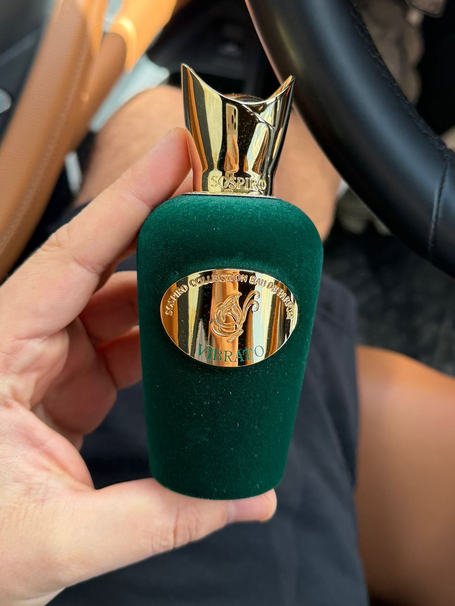 Alper Levi tweet media