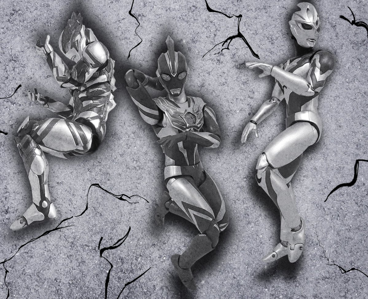 桜フブーシュ大団長 tweet media