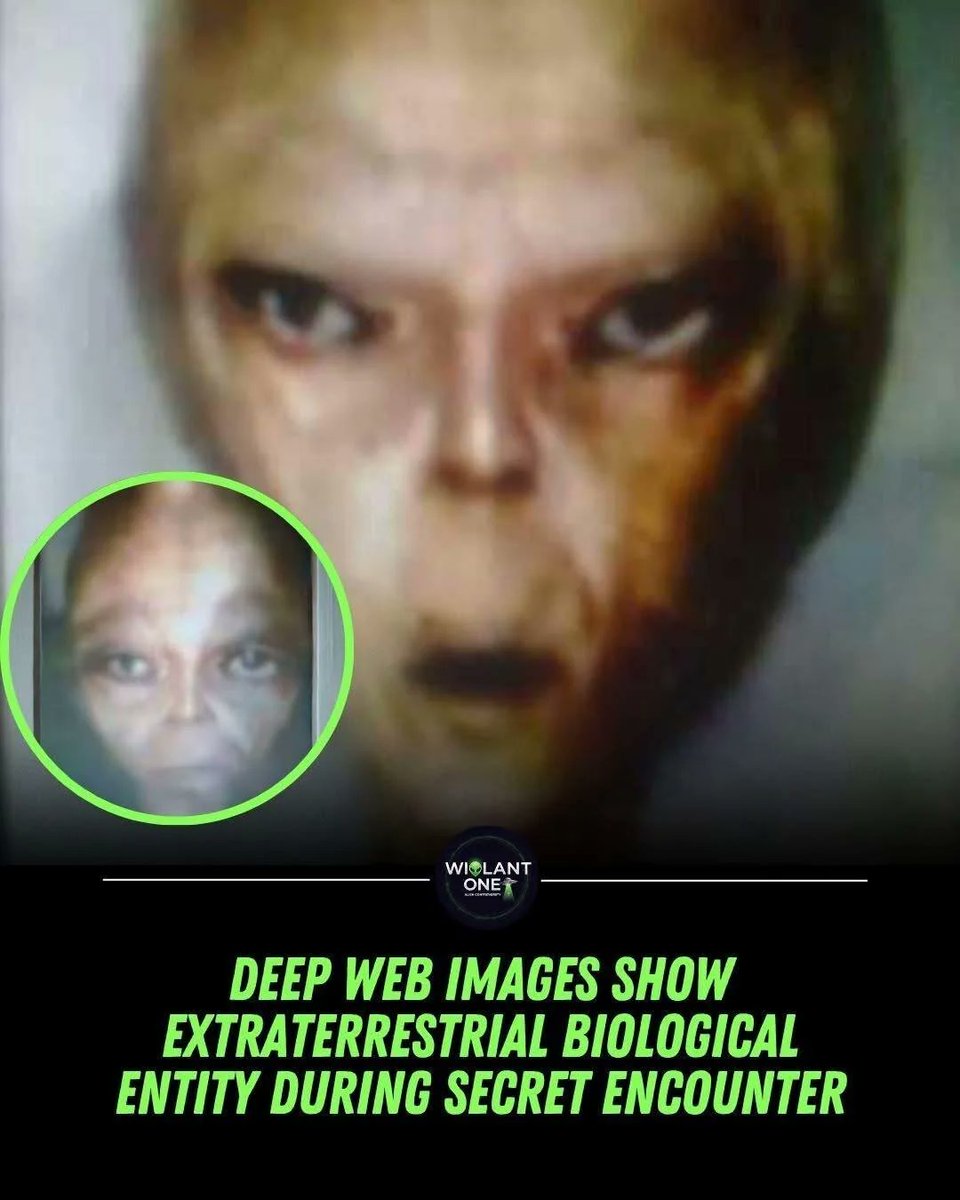 UFO mania tweet media