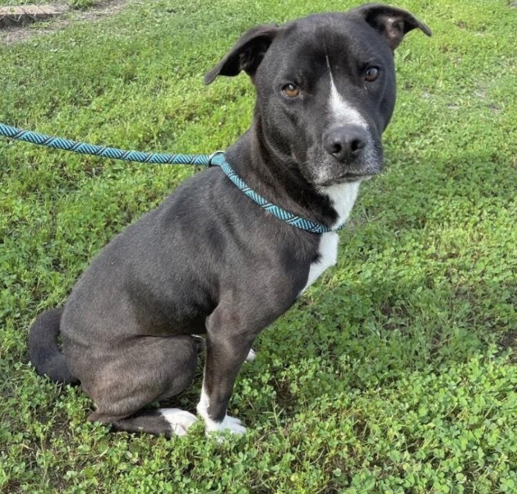 Olwyn Hope tweet media