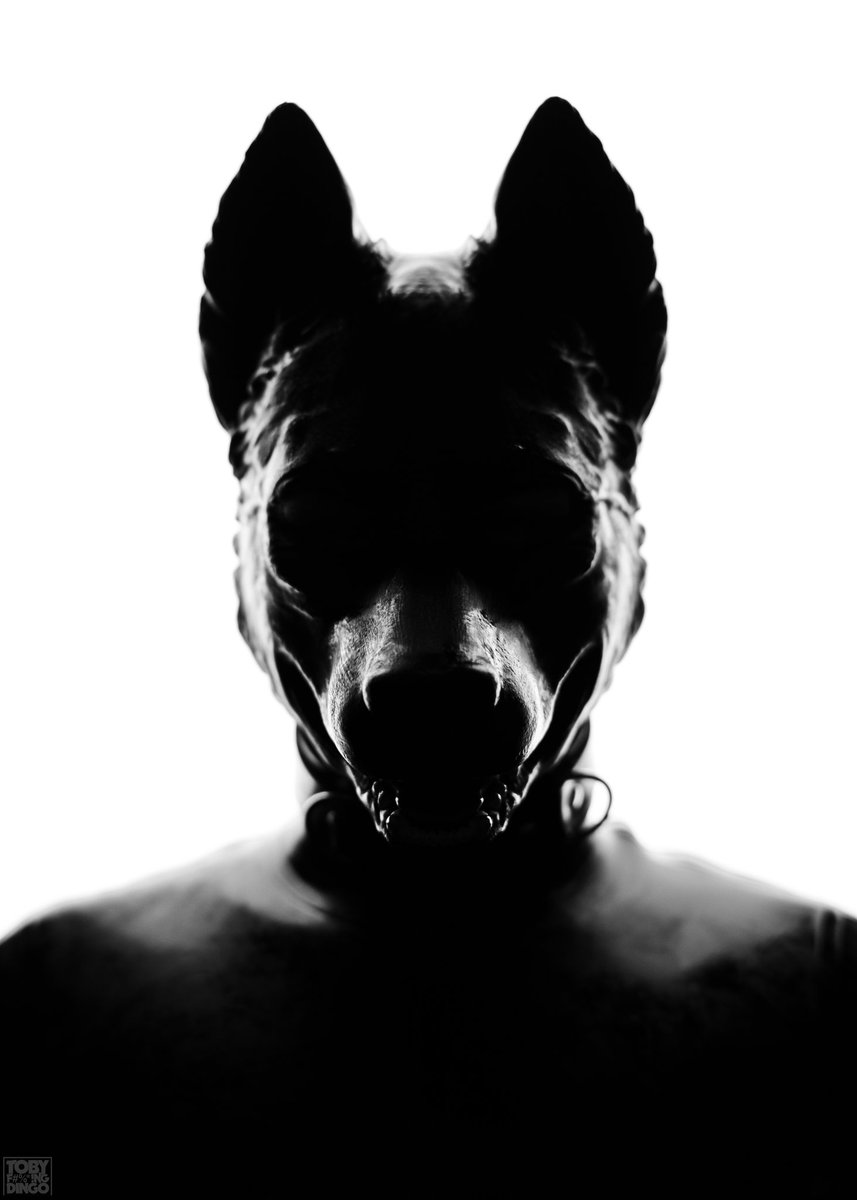 ๐๐ฉ๐ข๐ด๐ฆ tweet media