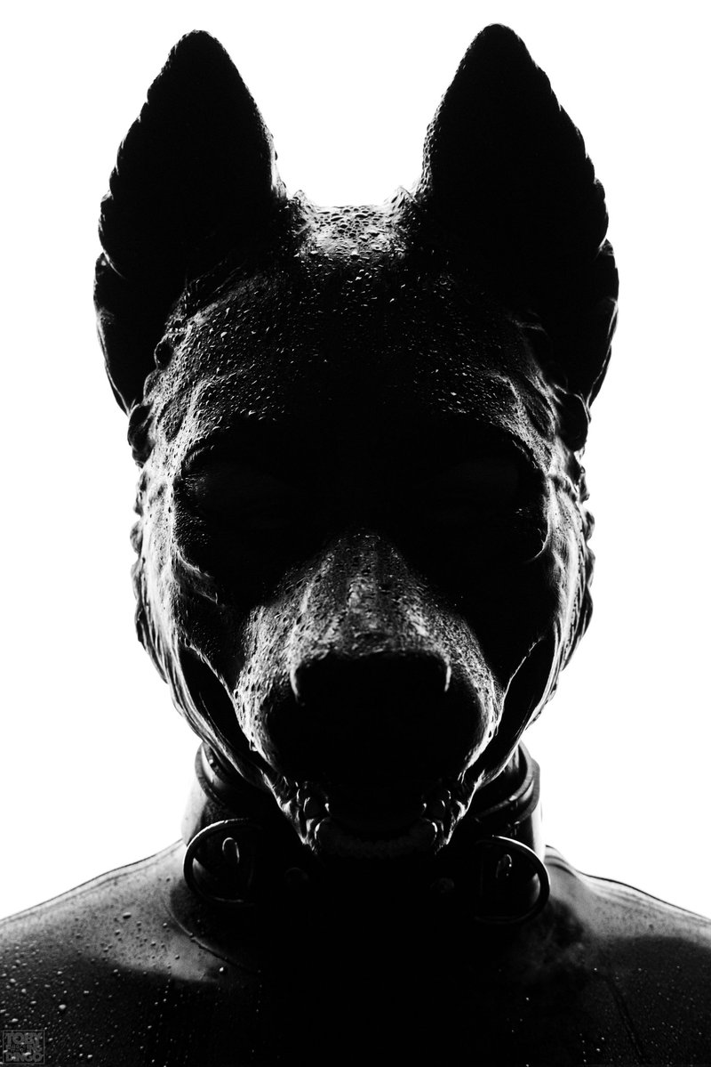 ๐๐ฉ๐ข๐ด๐ฆ tweet media