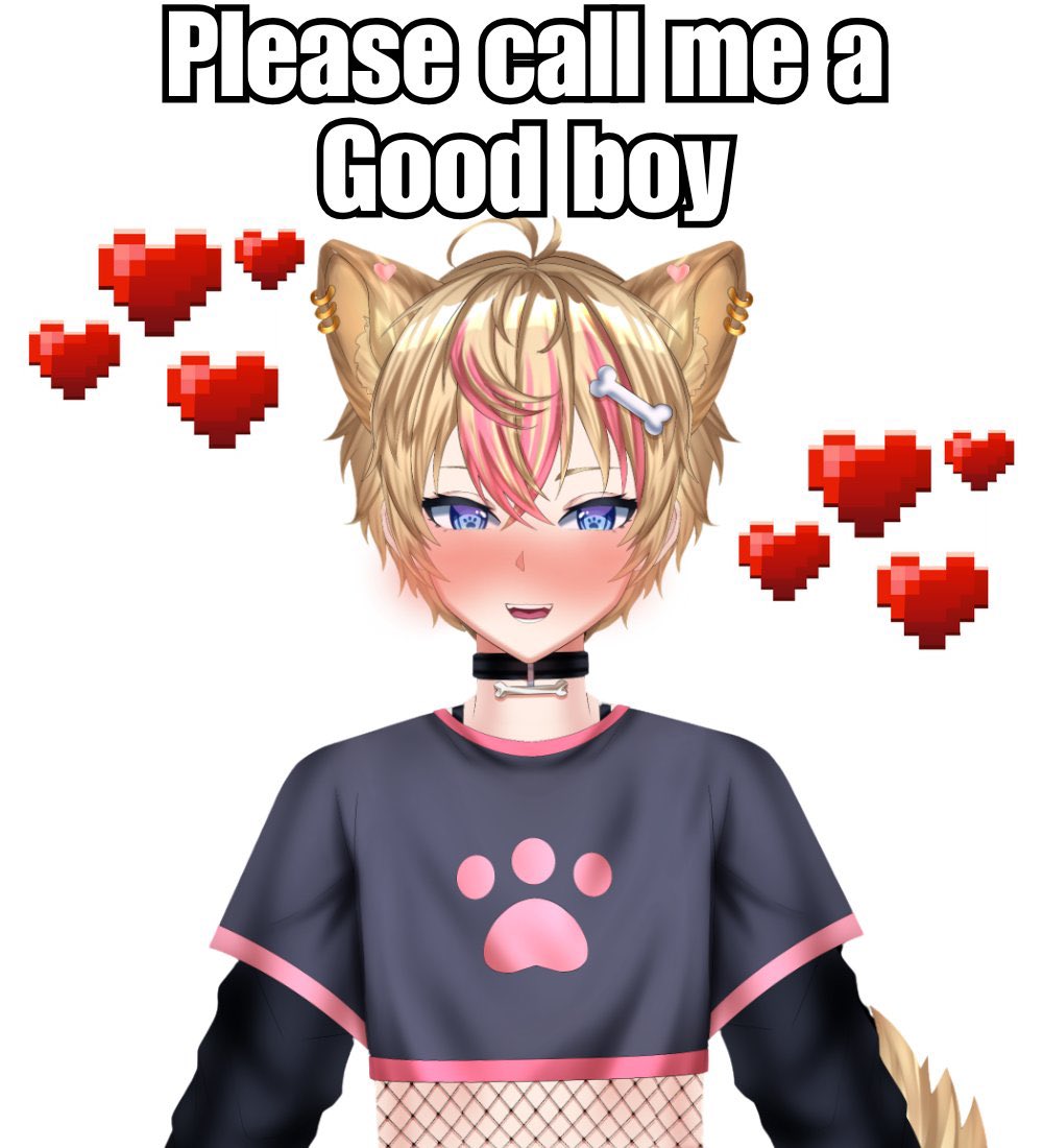 Gaki Nobanashi🐾🩷 tweet media