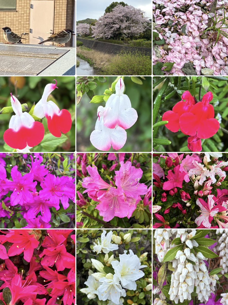 ひでちゃん tweet media