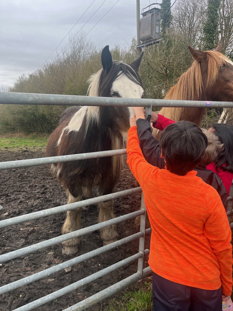 St. Michael's School tweet media