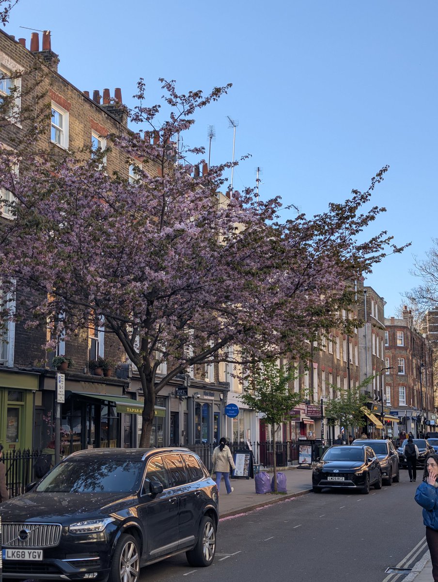 YuukiDue's tweet photo. Londons pretty in spring https://t.co/SPX6fo07OX