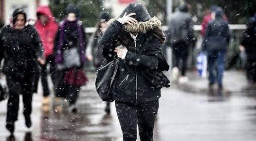 Fatma Keber tweet media