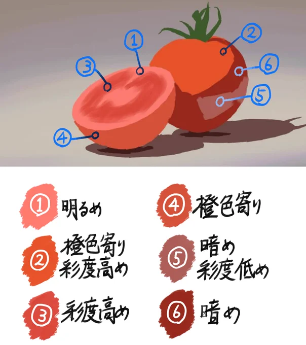 トマトから見えた赤色について。