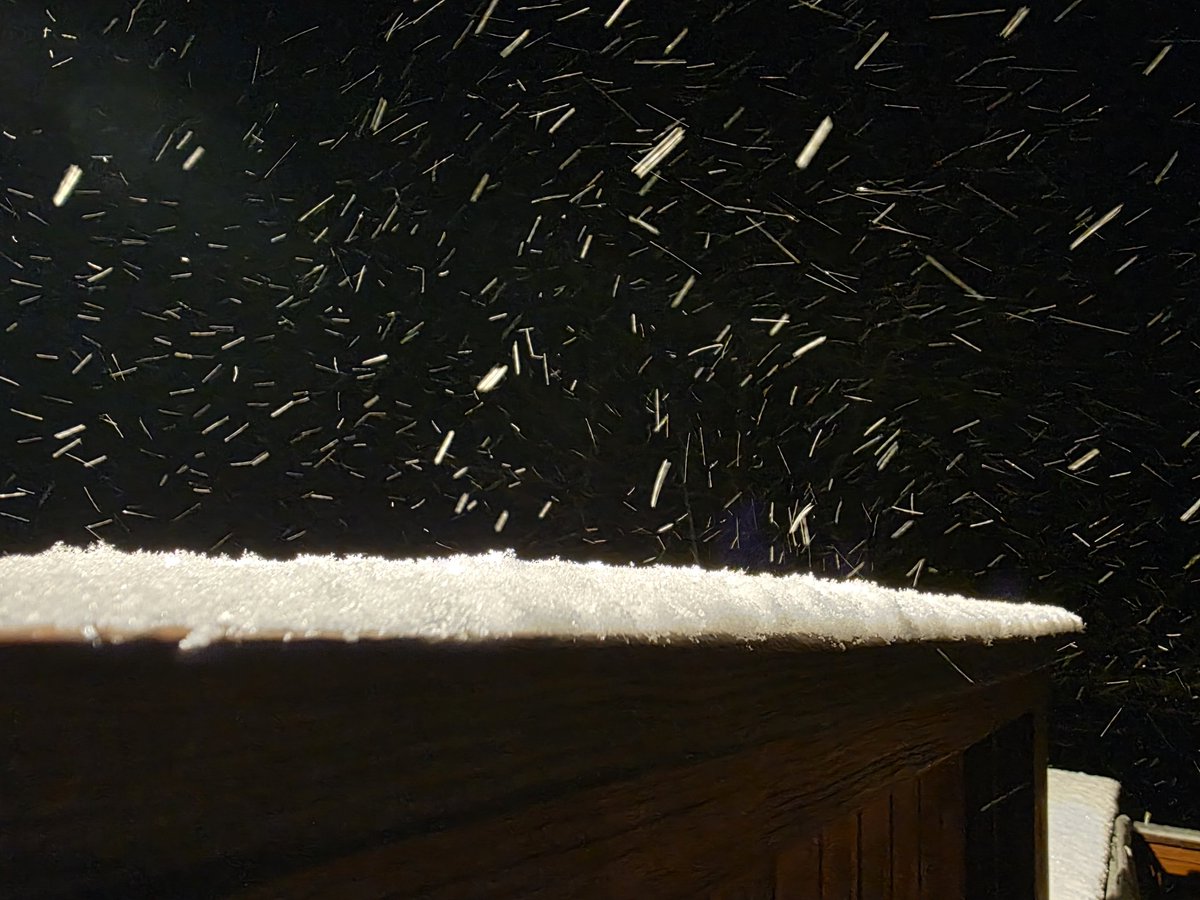 Kiloton Winier tweet media