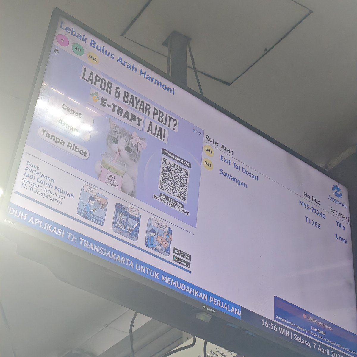 🦋✨🦊🌻🥺 tweet media