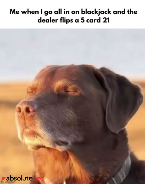 JonesMarce25955's tweet photo. dealer's sitting on 5 and you're already spending money you haven't won yet. that's the trap. the card doesn't know what you're thinking. https://t.co/SnnLQJuT8E