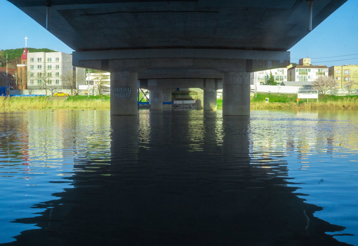 세이 어디야? tweet media