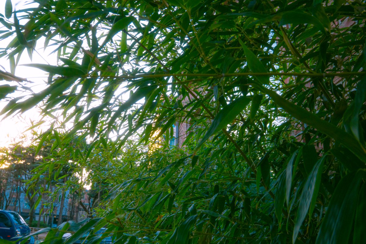 세이 어디야? tweet media