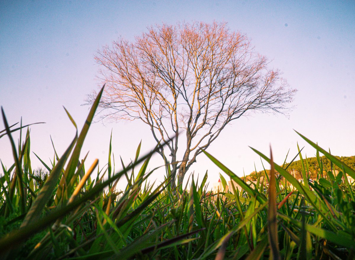 세이 어디야? tweet media