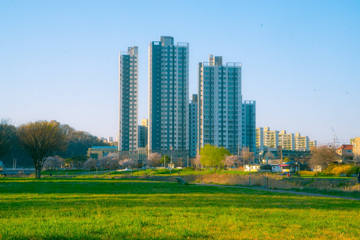 세이 어디야? tweet media