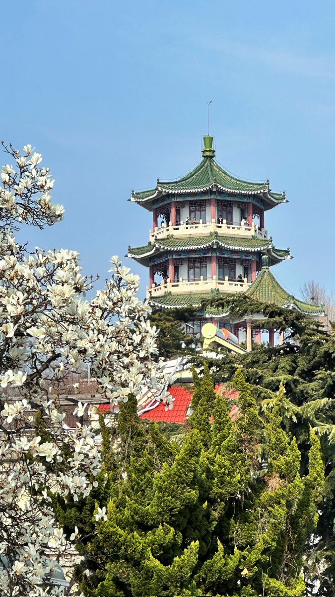 Deng_919 tweet media