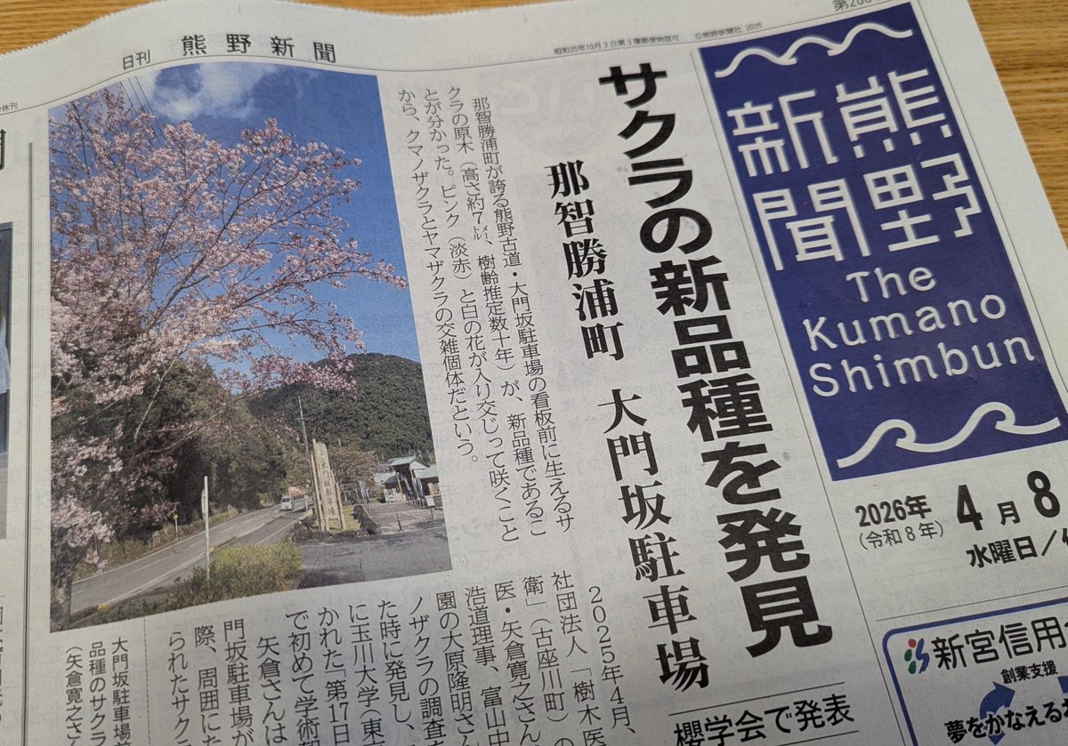 ねこやなぎ tweet media