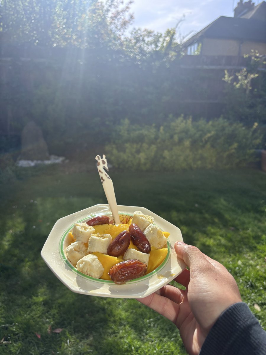 JoeCtx's tweet photo. Fruit till noon =

Light digestion 
Low cortisol
Steady energy 
Clear focus

Feels like fasting….

Without actually fasting https://t.co/ZkxnDLIxzs