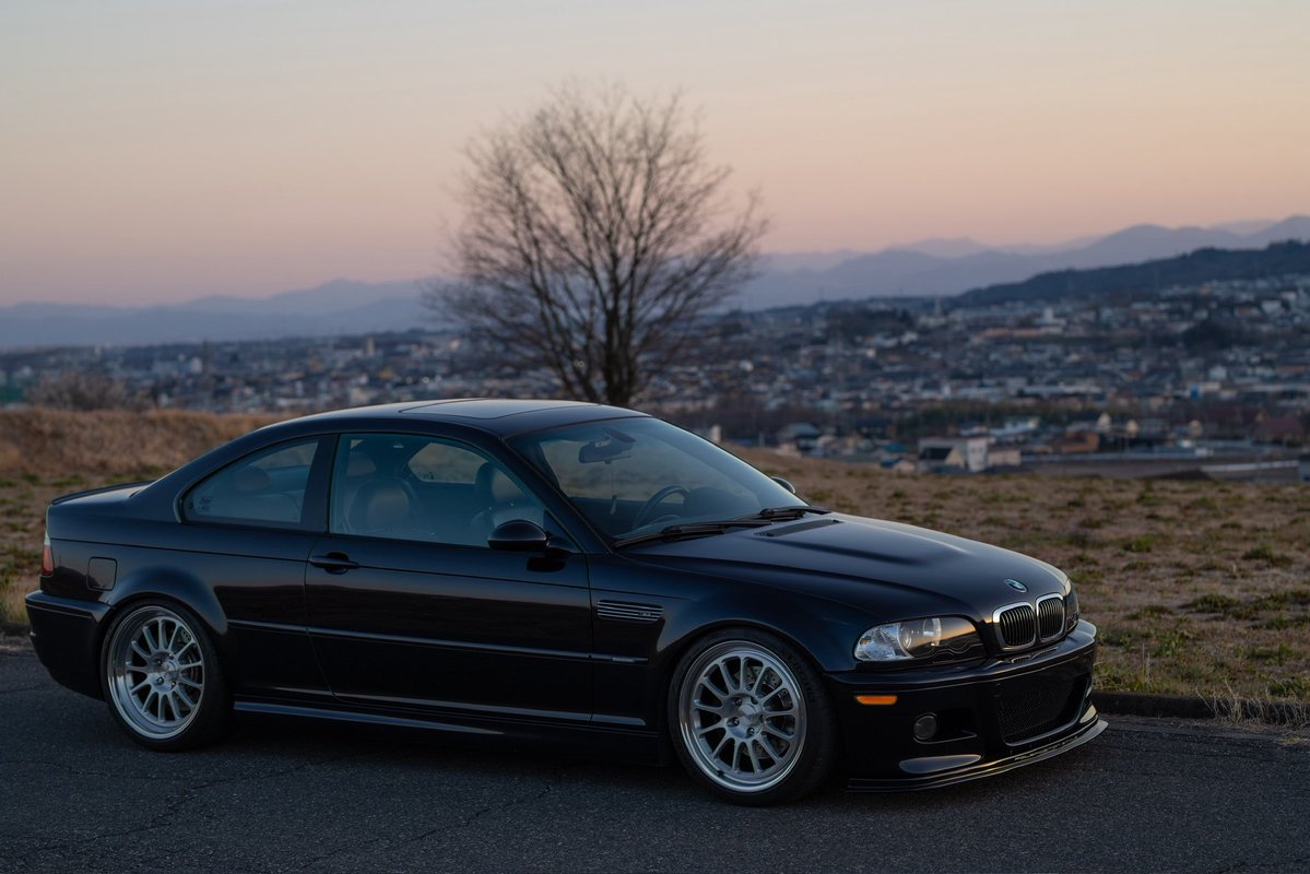 こいぬ tweet media