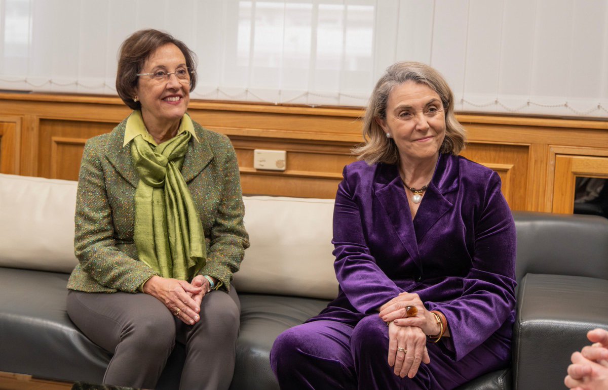 Presidencia GobCan tweet media