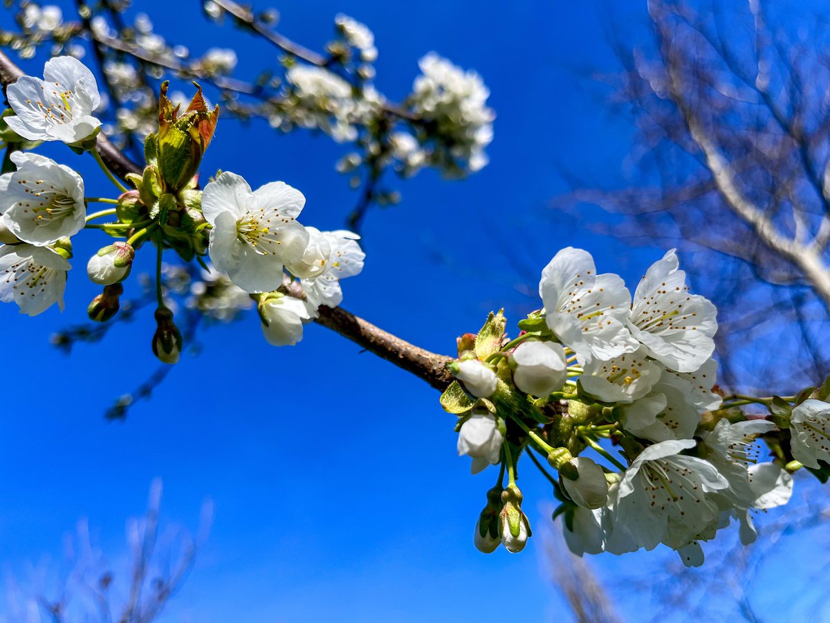 Wulan ♡ tweet media