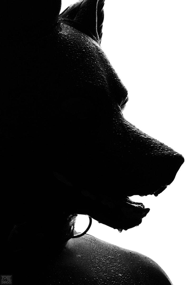 ๐๐ฉ๐ข๐ด๐ฆ tweet media