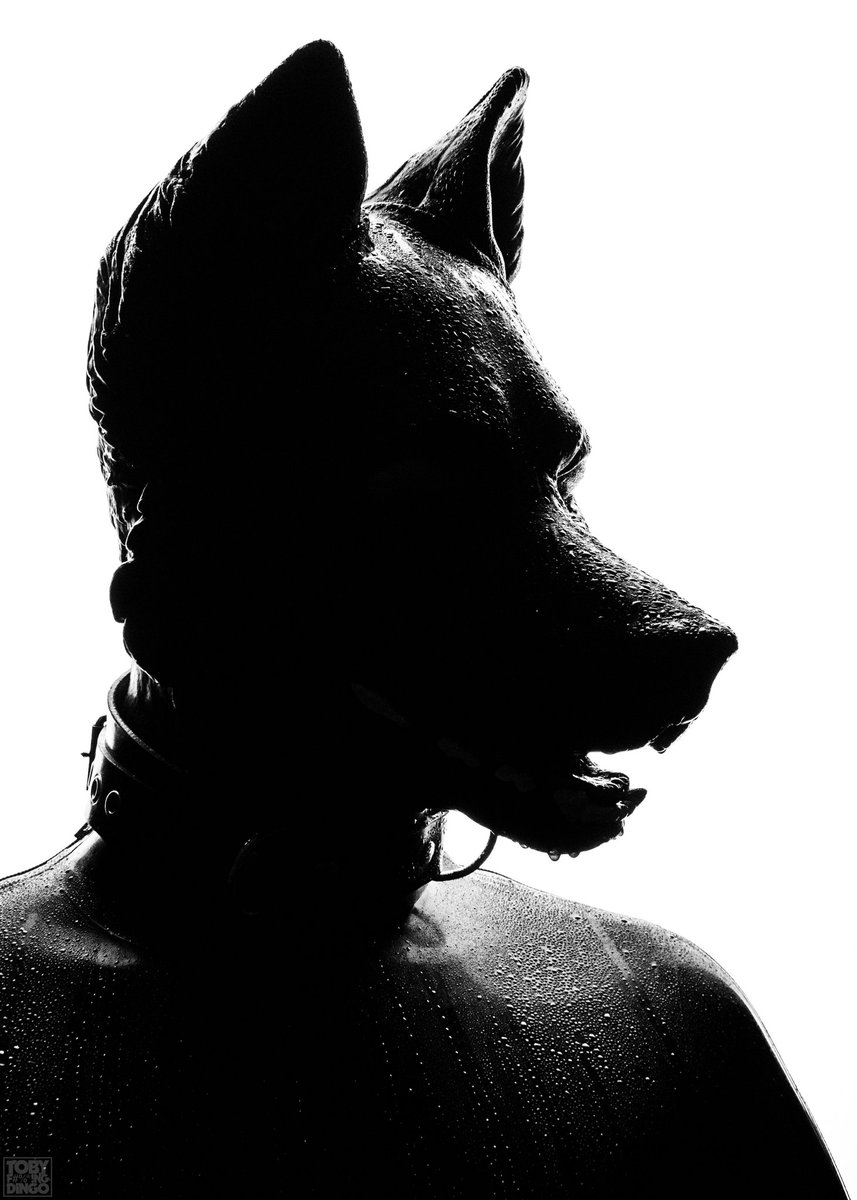 ๐๐ฉ๐ข๐ด๐ฆ tweet media