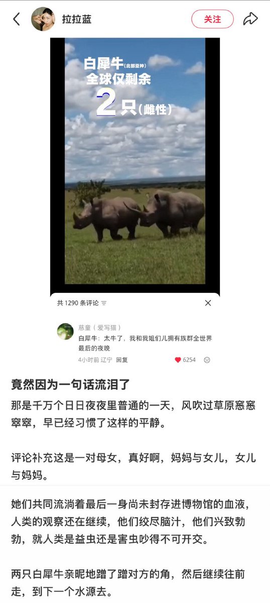 Roland.W tweet media