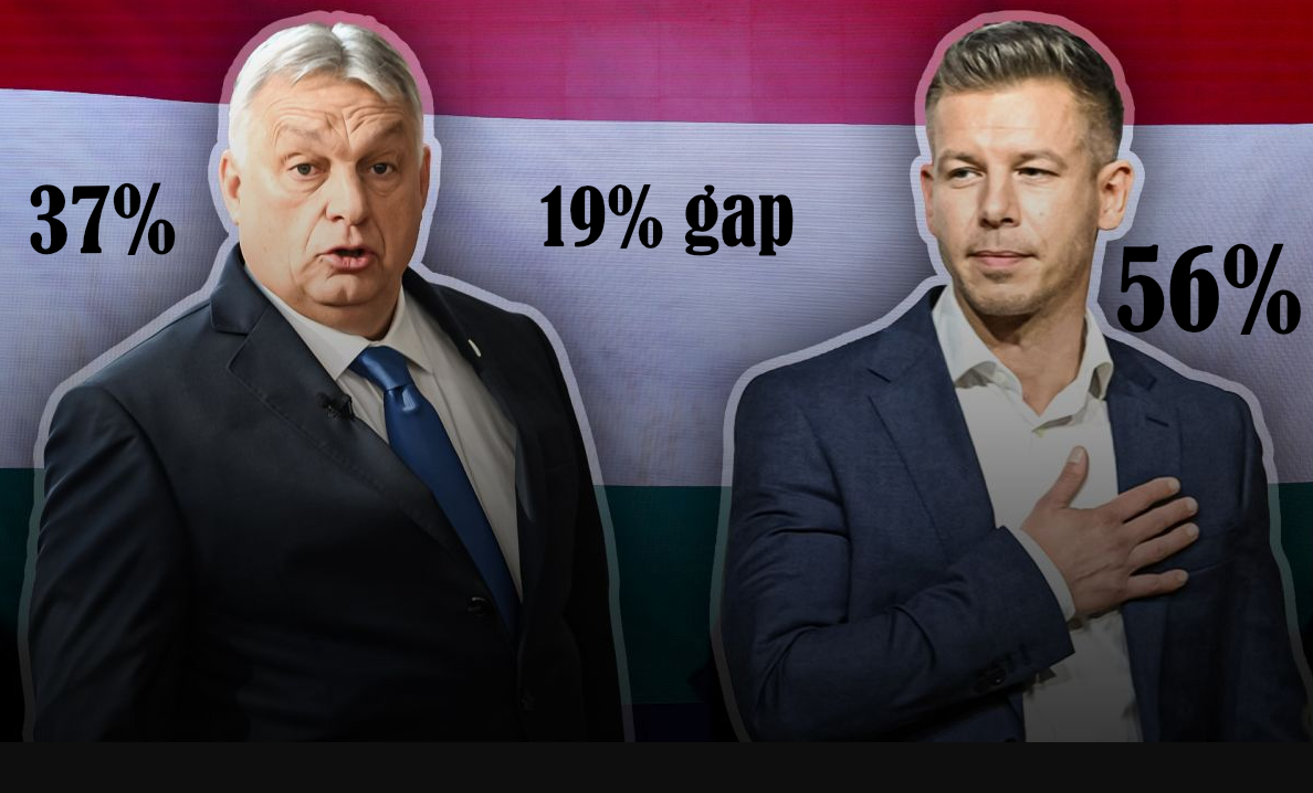 AutokratDaily tweet media