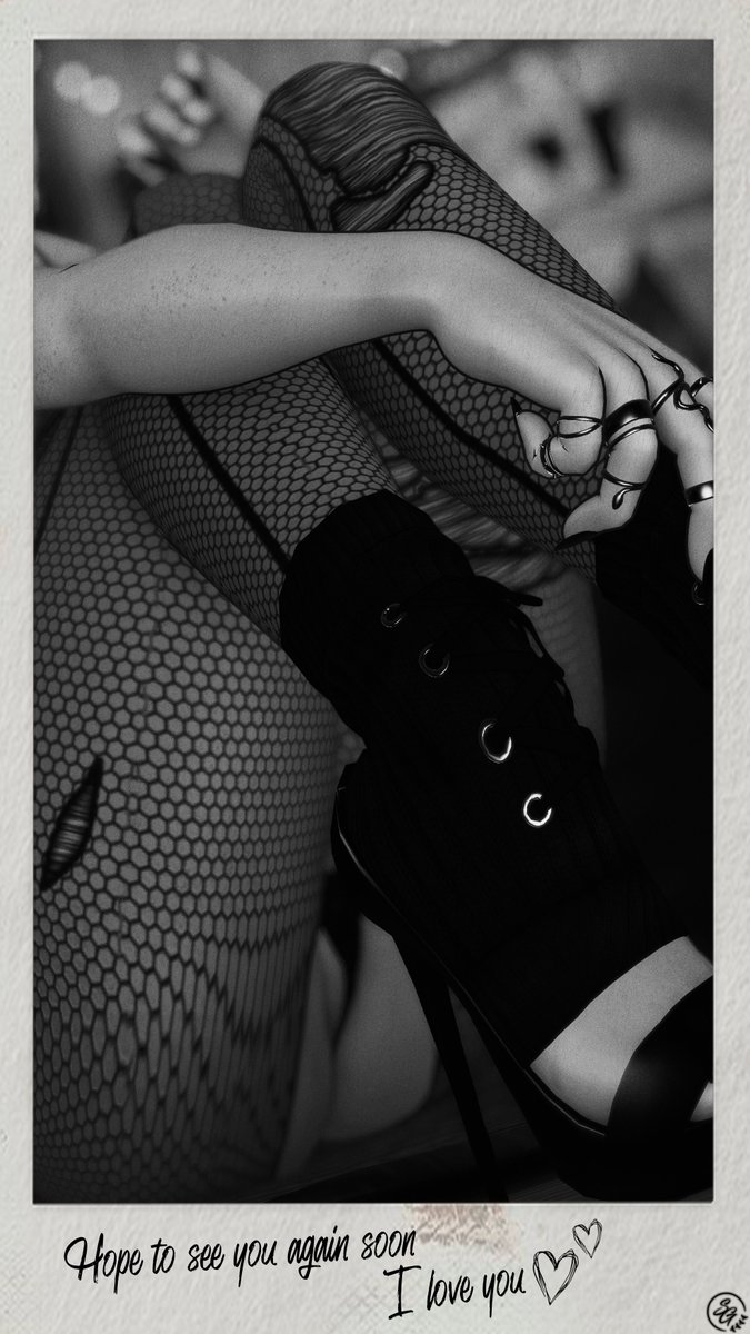 Sparrow~ 📸 tweet media