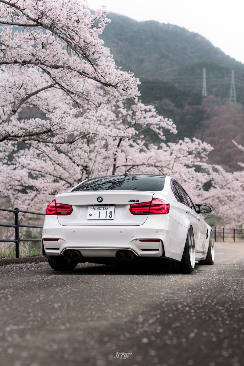 photo_flow's tweet photo. 今年の桜photoは豊作ですね
来週もまだまだ撮る！ https://t.co/2VhLTRqPol