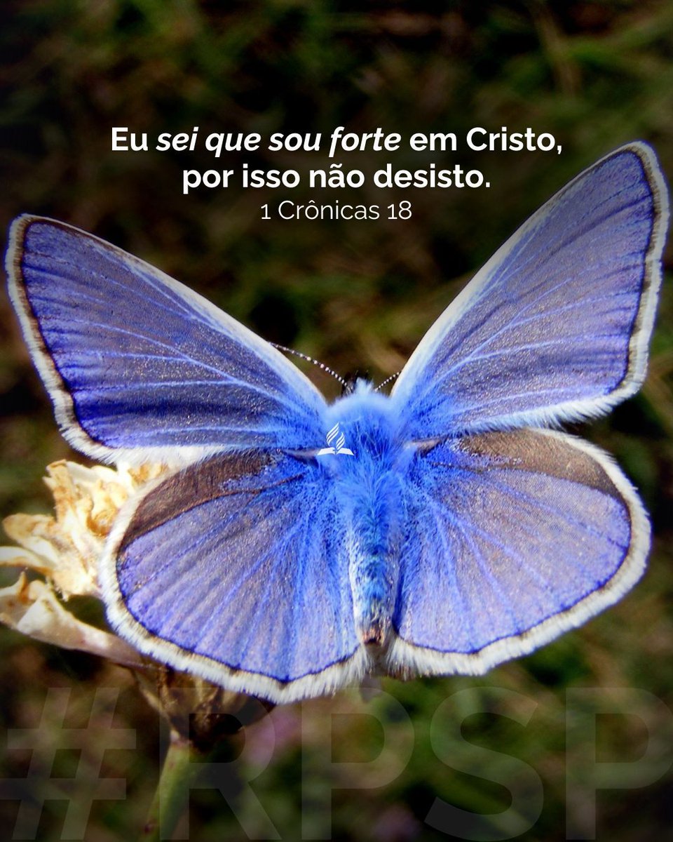 Coragem não é ausência de medo, é fé em ação.

👉 Enfrente seu desafio com fé.

💬 Comente: “Eu sou forte em Deus.”

📖 🎧 adv.st/reavivadospors…