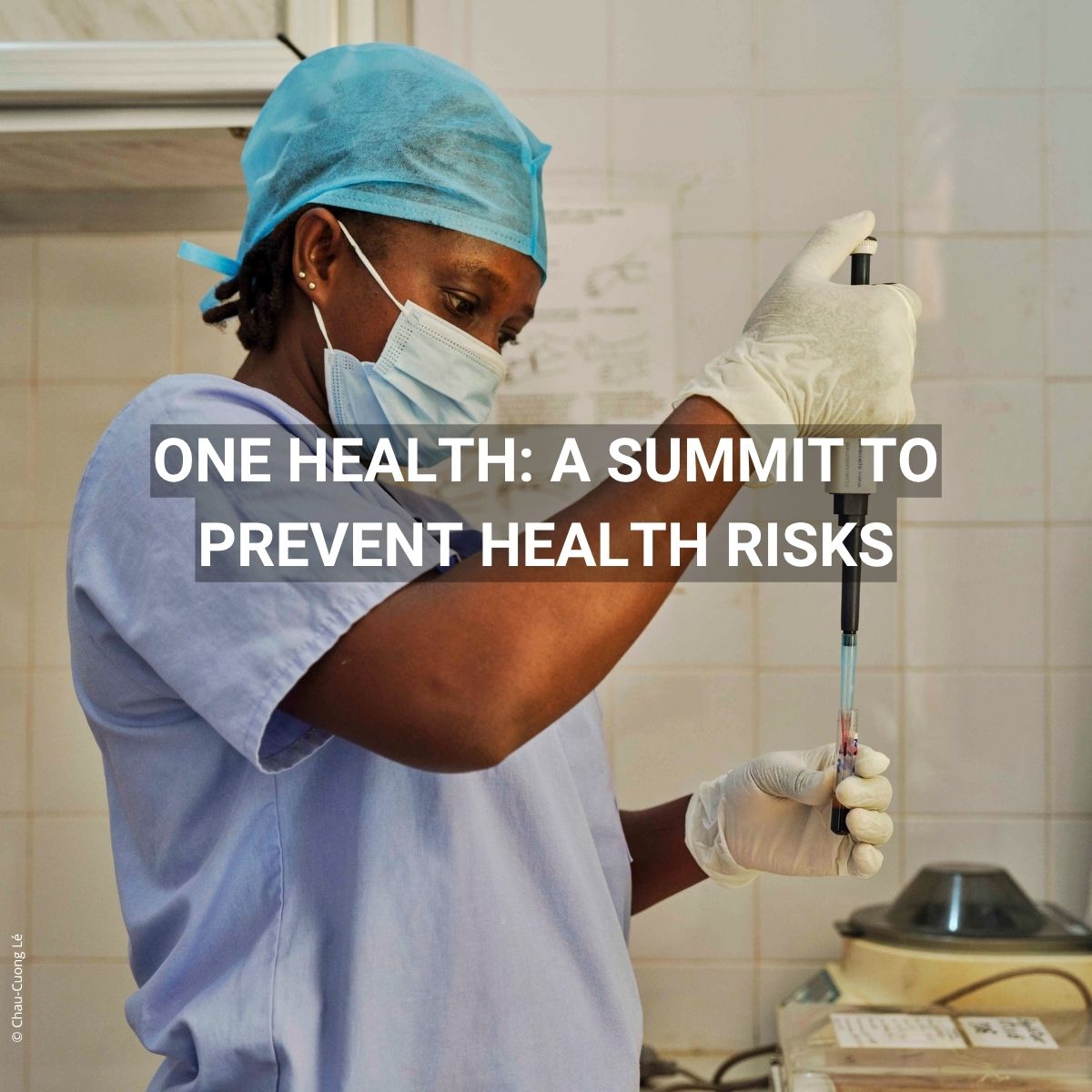 AFD_en 🇫🇷 🇪🇺 tweet media