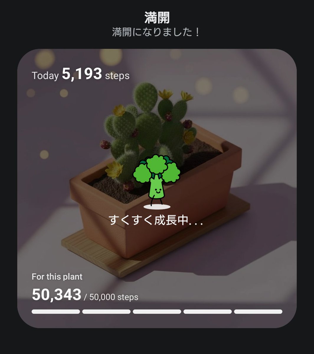 まびぺっこ tweet media