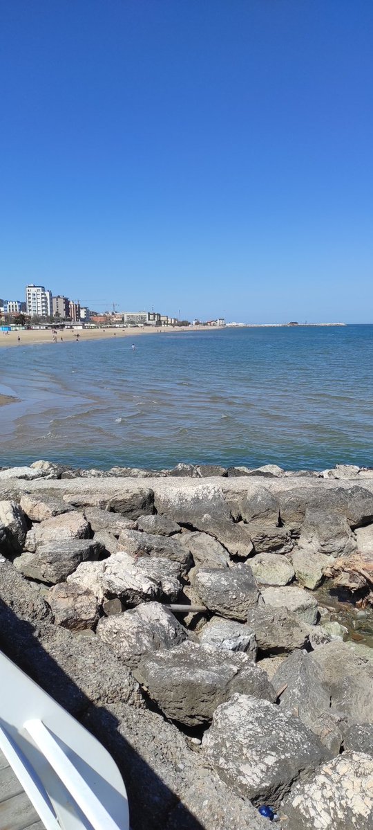 Sir. Come-Again⏭️ tweet media