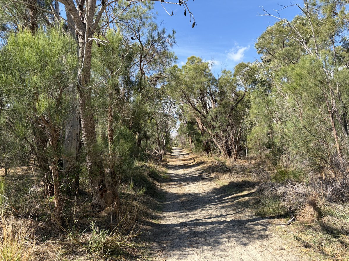 gdd2018's tweet photo. Photos taken at Kings Park and Botanic Garden in Perth, Australia. https://t.co/ardVGgyEei
