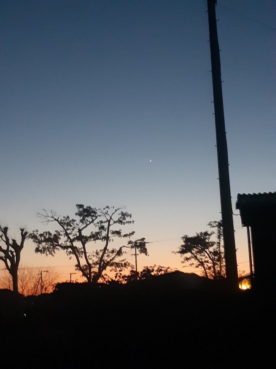 サイどん🦏 tweet media