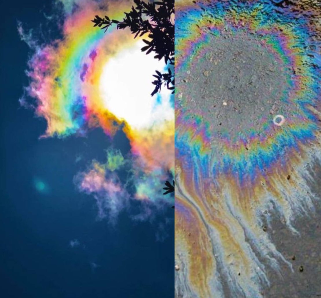 MT aus HB | AG Enbys in der AfD tweet media