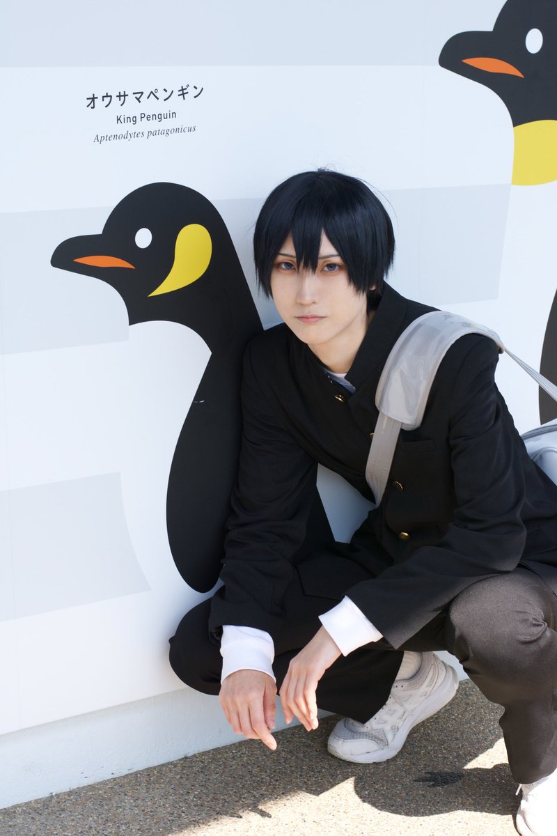 HQ!! Cosplay

王様って呼ぶんじゃねぇ

photo(<a href="/Moririn_cos/">森林(もりりん)🌳/</a> )
 #梅小路コスフェス