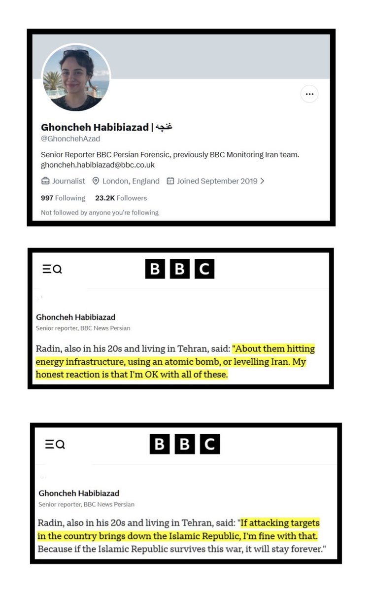 Ameneh Dehshiri شراره tweet media