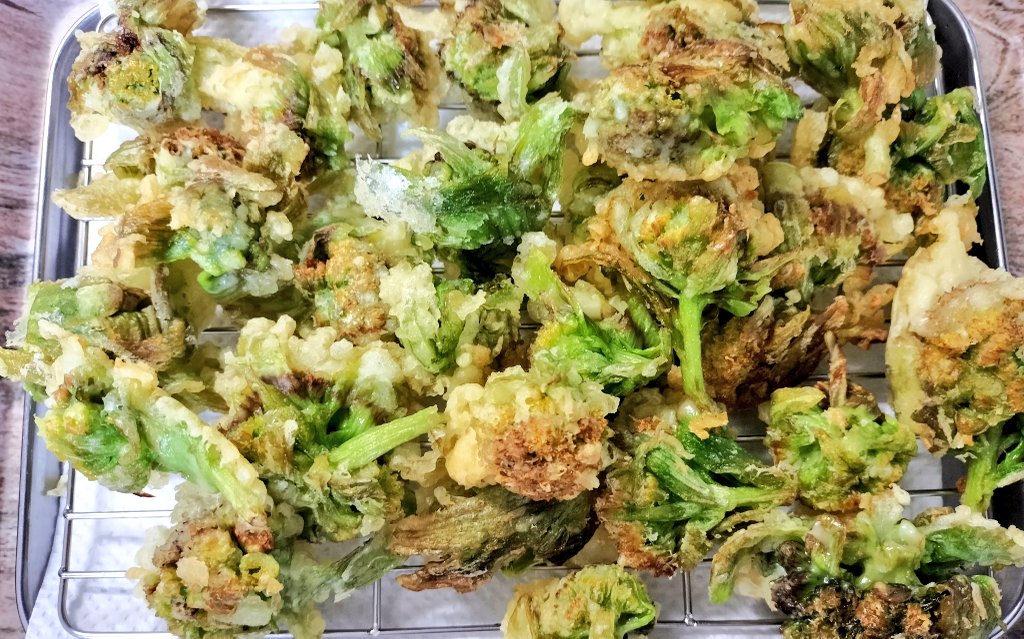 まめまめ₍ᐢᐢ₎·° tweet media