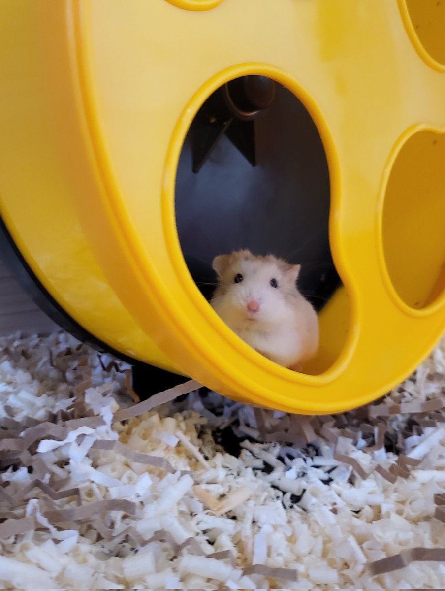 감자밭 tweet media