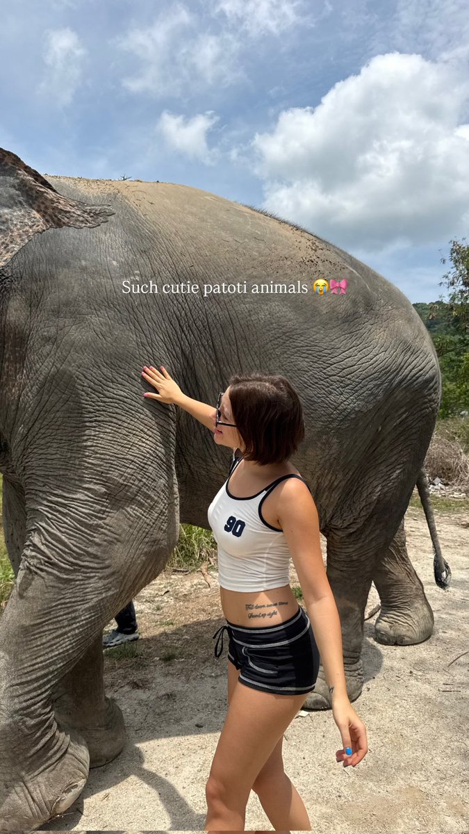 مشاهير✨ tweet media