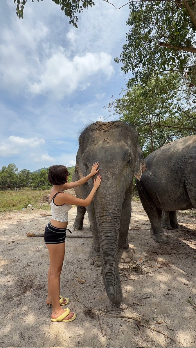 مشاهير✨ tweet media