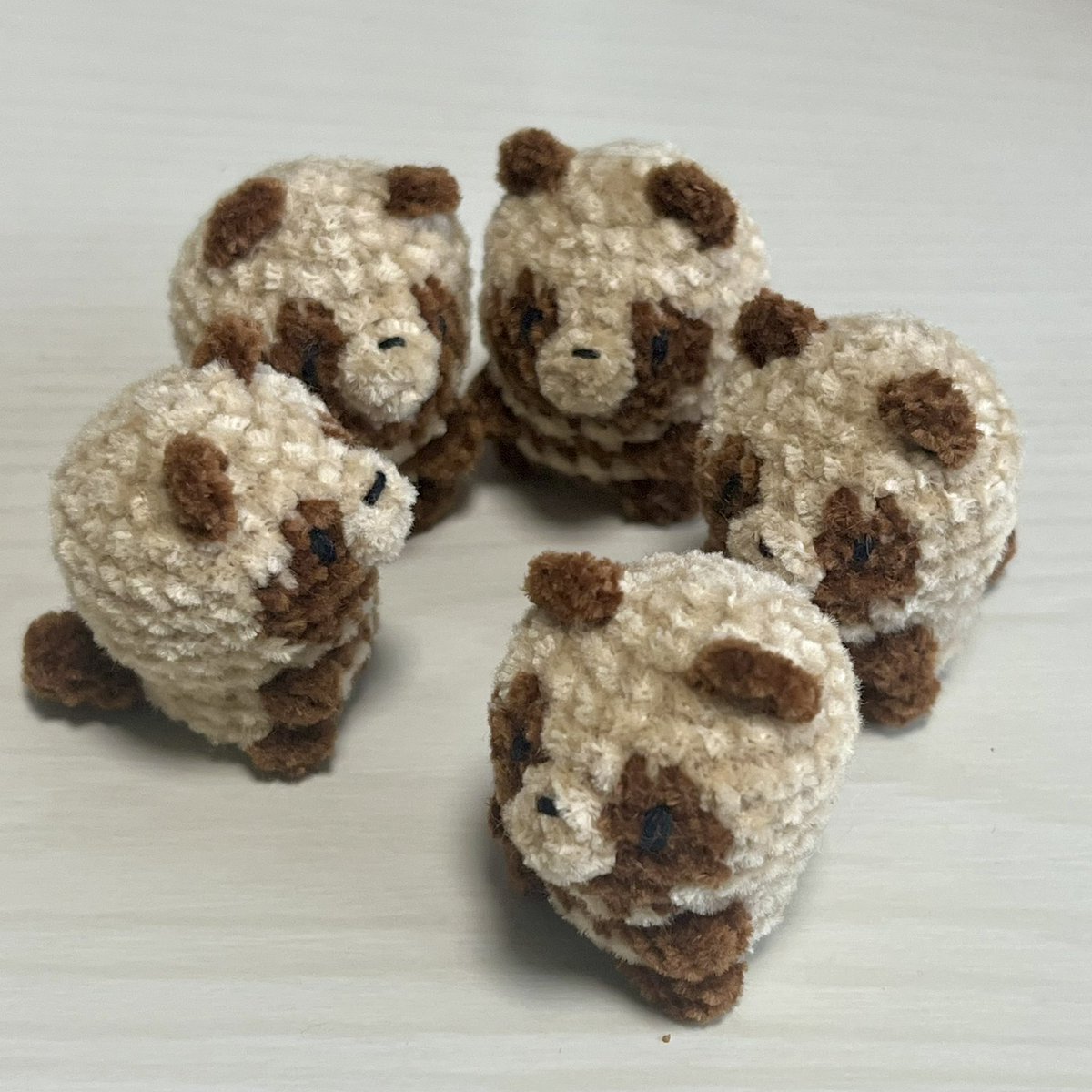 かわいいタグを見つけてしまったので…
 #たぬきかわいい大会