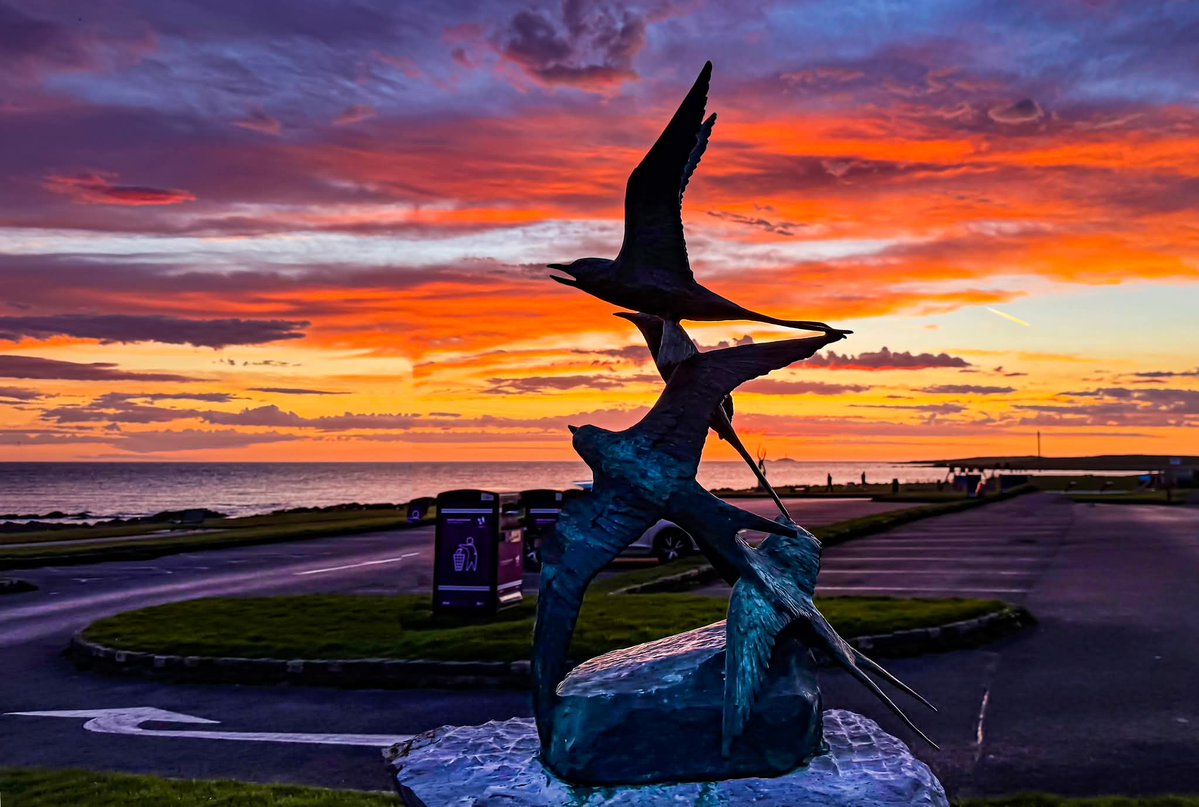 ThisIsIreland3's tweet image. Beautiful skies over Red Island, Skerries this morning 🌅🔥

And perfect Sunrise over the Rockabill lighthouse, just to boot 🔥🔥

📍County Dublin - Ireland 🇮🇪

📸 Martin McNamara

#Dublin #Ireland #Lighthouse  #Skerries #Redisland #Rockabill #Skies