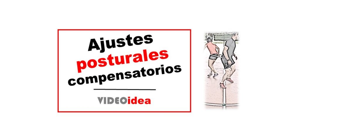 Check your MOtion® tweet media