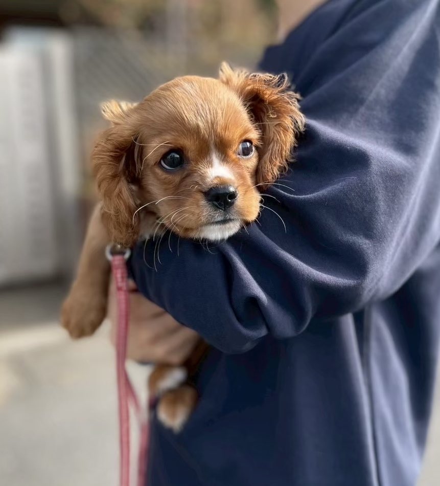 ゆっち mironuts𓀫 tweet media