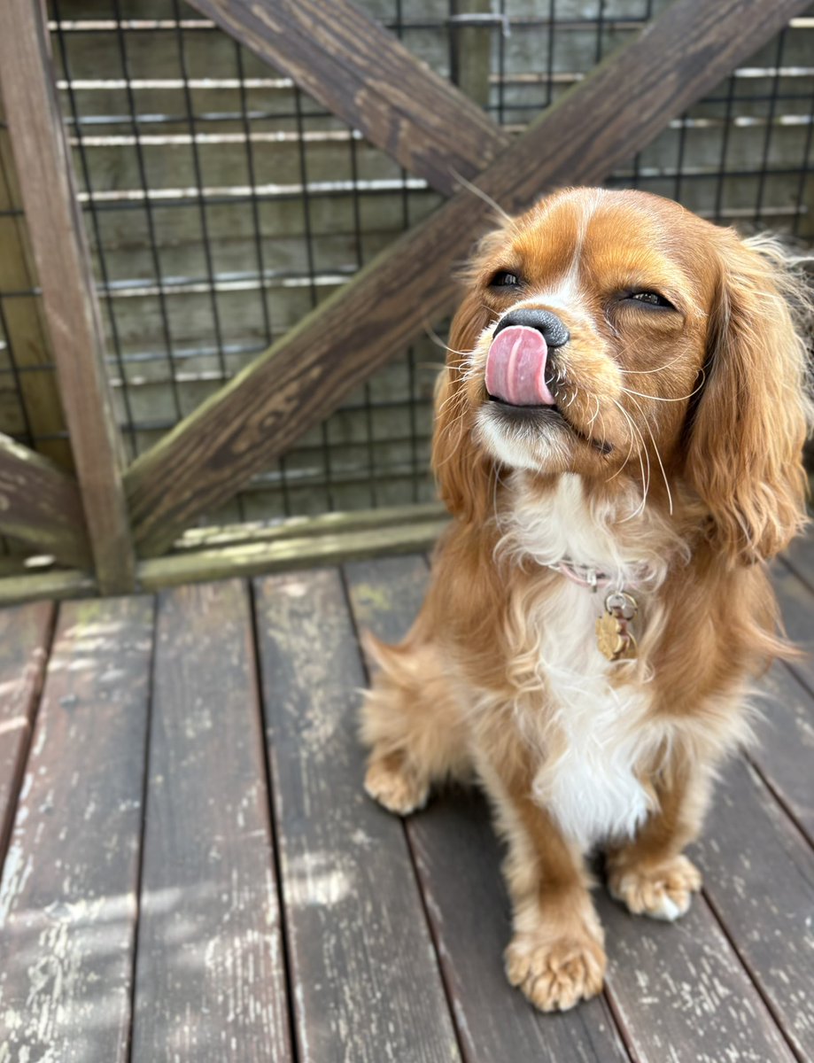 ゆっち mironuts𓀫 tweet media